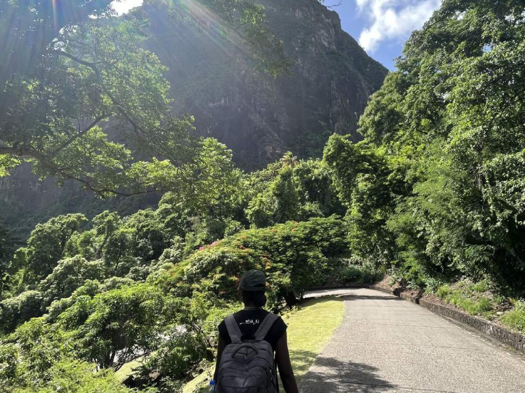 Best tour guides in the&nbsp;Caribbean