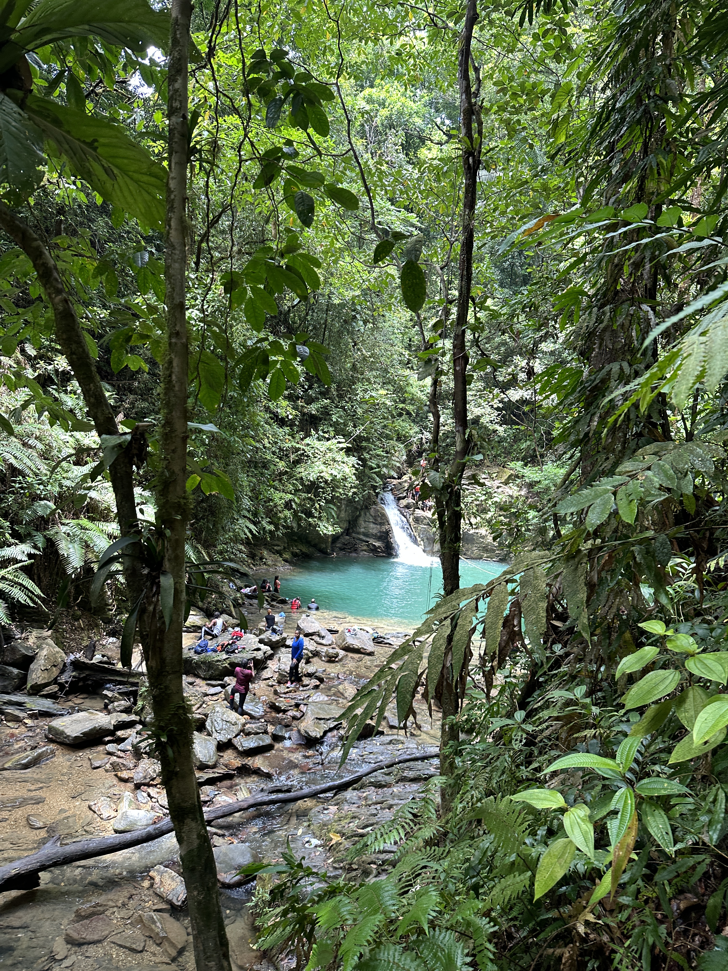 Stop hiking without a local guide!